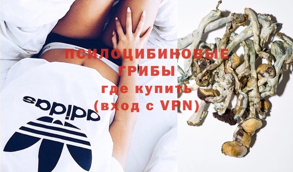 крисы Алзамай