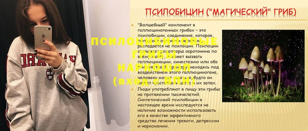 ECSTASY Алексеевка