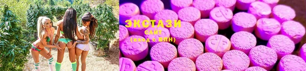 крисы Алзамай