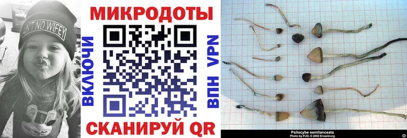Галлюциногенные грибы ЛСД  Тайшет 