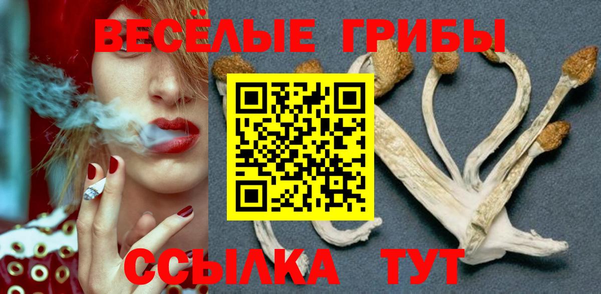 Галлюциногенные грибы Psilocybine cubensis Тайшет