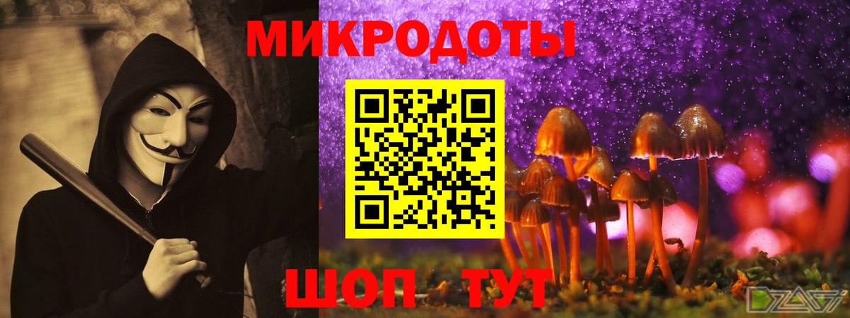Галлюциногенные грибы Magic Shrooms  Вход с VPN  Тайшет  Псилоцибиновые грибы прущие грибы 